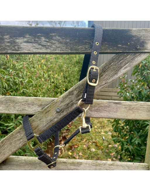 Licol Malibu - Canter Licol Malibu - Canter