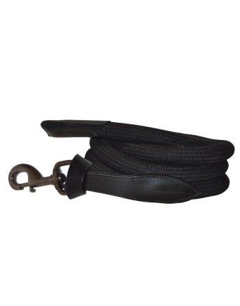 Longe corde - Canter