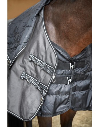 Sous couverture - Horse Guard