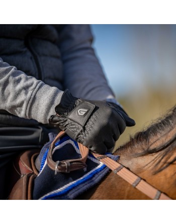 Gants Winter Windproof - GLOVERS