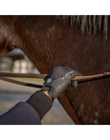 Gants Winter Windproof - GLOVERS