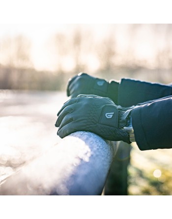 Gants Winter classic - Glovers