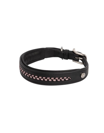 Collier pour chien - ANTARES