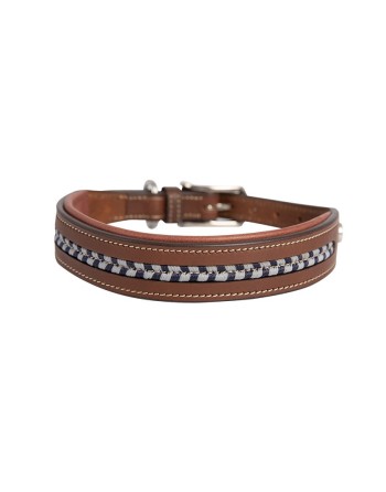 Collier pour chien - ANTARES