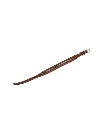 Collier pour chien - ANTARES