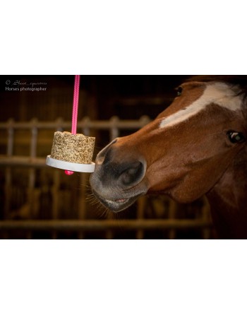 Happy Wild respi menthe poivrée romarin - HAPPY CRAKERS