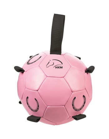Ballon de box - HKM