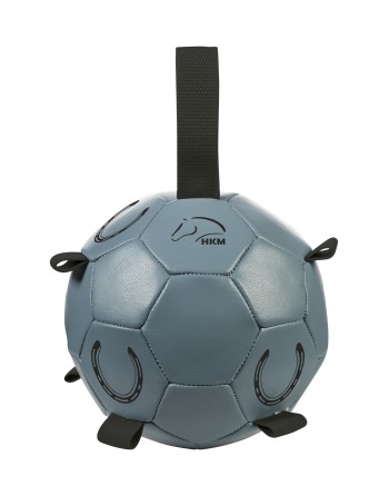 Ballon de box - HKM