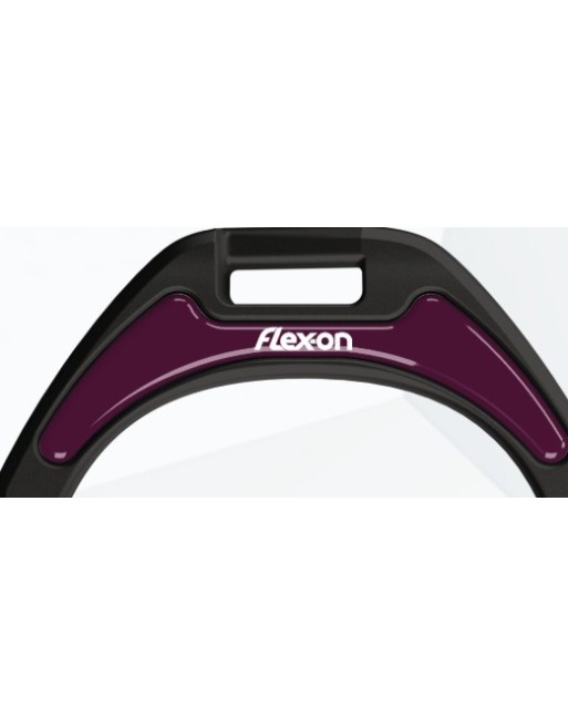 Sticker silver prune - FLEX ON Sticker silver prune - FLEX ON