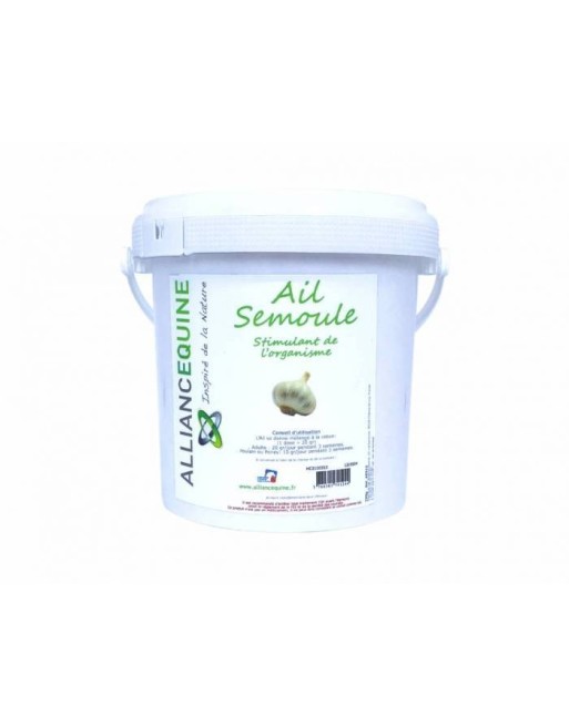 Ail semoule - ALLIANCE EQUINE