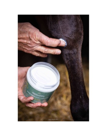 Baume protecteur & hydratant - NELLUMBO