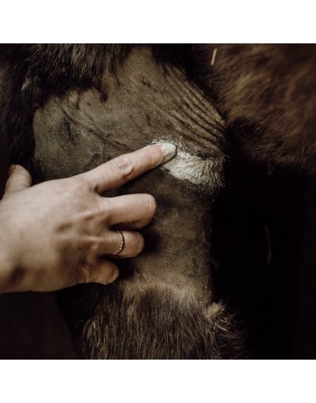 Cataplasme réparateur - NELLUMBO