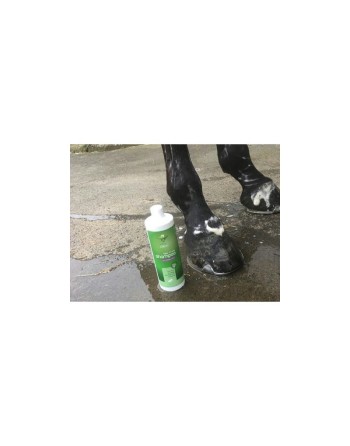 Shampoing  "Tea Tree" - ANIMADERM
