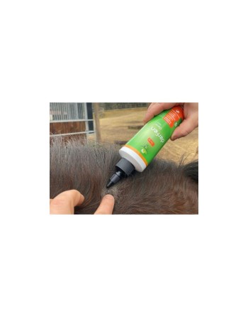 Lotion DERFEN™ "Clear" - ANIMADERM