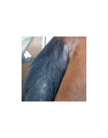 Répulsif Derfly™ - ANIMADERM