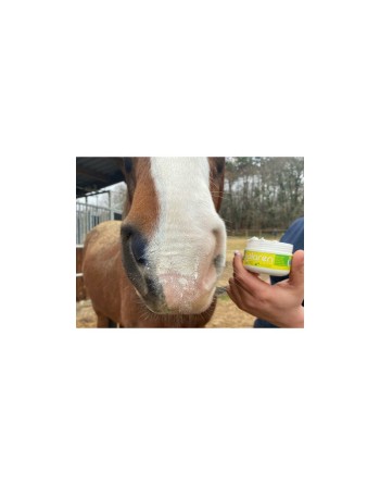 Protection solaire Solaren - ANIMADERM