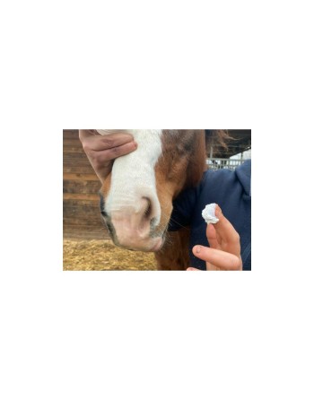 Protection solaire Solaren - ANIMADERM