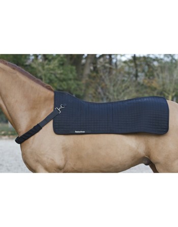 Back Warmer Royal - BACK ON TRACK