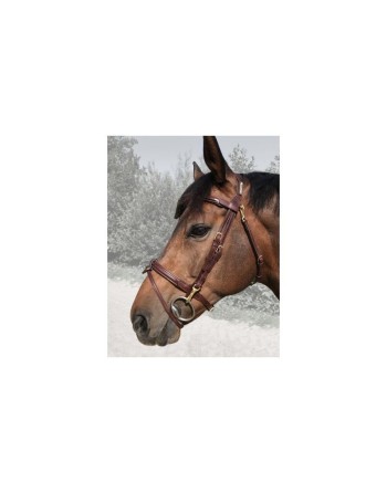 Bridon easy - CAVALETTI