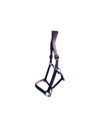 Licol Tara - CAVALETTI
