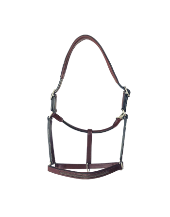 Licol Tara - CAVALETTI