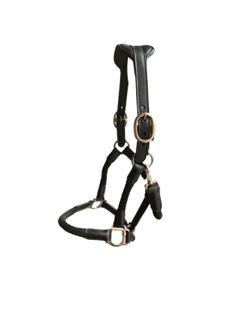 Licol Tara - CAVALETTI