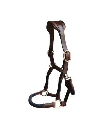 Licol Tara - CAVALETTI
