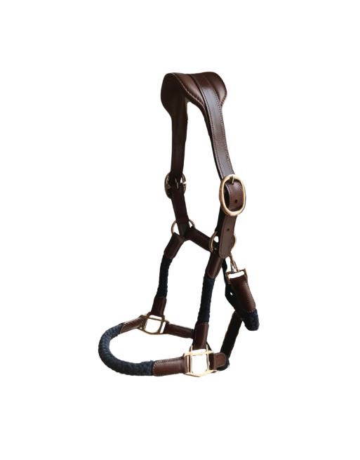 Licol Tara - CAVALETTI Licol Tara - CAVALETTI