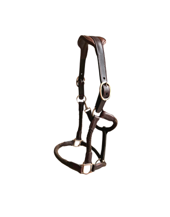 Licol Tara - CAVALETTI
