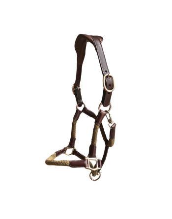 Licol Tara - CAVALETTI