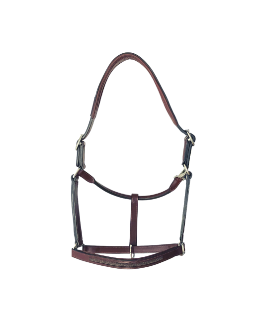 Licol Goldy - CAVALETTI Licol Goldy - CAVALETTI