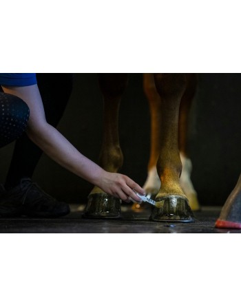 Huile pour sabots Hoof Dressing - KEVIN BACON'S