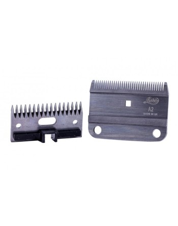Peigne "A2/AC" denture medium - LISTER