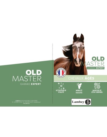 Old master - LAMBEY