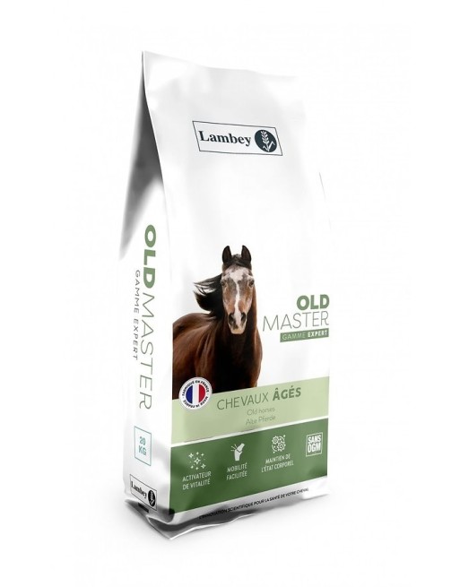 Old master - LAMBEY