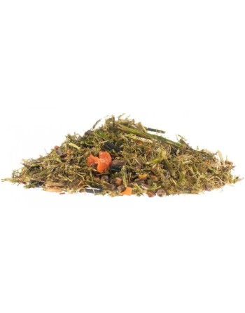 Gastri fiber - LAMBEY