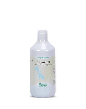 Electrolytes - Nutragile