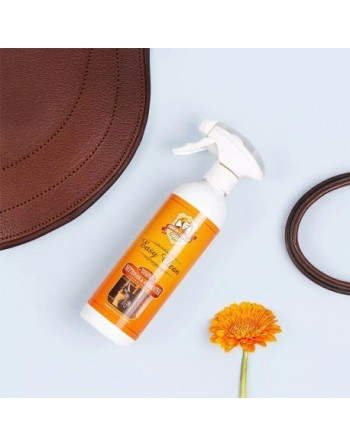 Easy Clean Spray - Charlee's Leather
