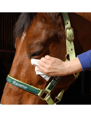 Easy shine Wipe - Ravene