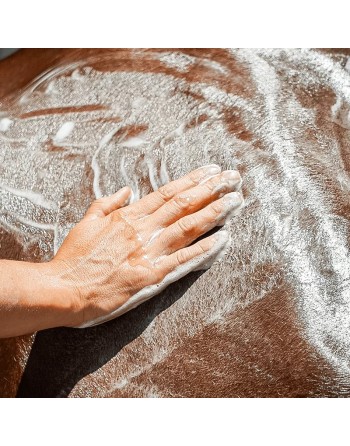Easy shine shampoo - Ravene