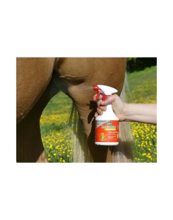 Emouchine Total - Ravene