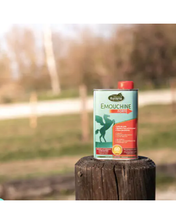 Emouchine forte - Ravene