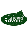 Ravene